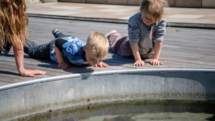 At Hundested Harbour, children can pet fish and crabs for free.