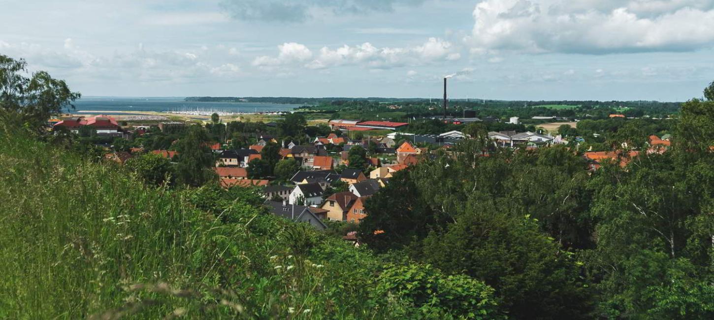 View of the roofs of Frederiksværk from a hill with the sea in the background