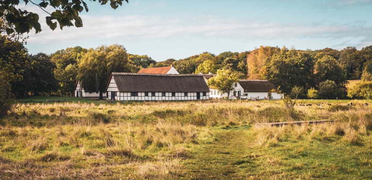 Esrum Abbey's beautiful half-timbered building at the end of a meadow is waiting to welcome you.