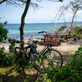 To cykler på stranden ved havet
