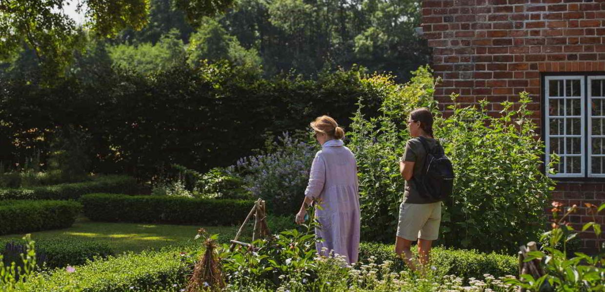 Two women walk in the herb garden and observe medieval medicinal herbs at Esrum Abbey.